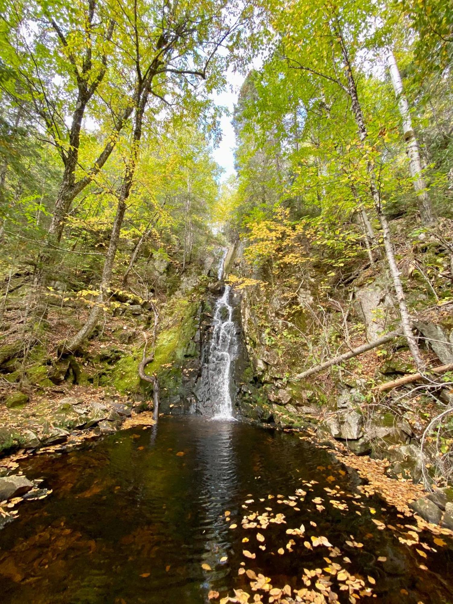 Belle Maison Avec Vue Sur La Riviere LʼAnse-Saint-Jean 外观 照片